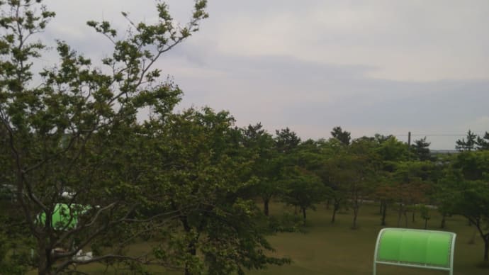 島見緑地