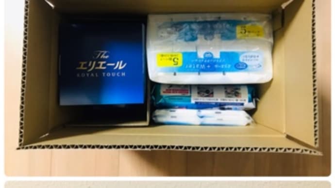株主優待品到着!大王製紙2024