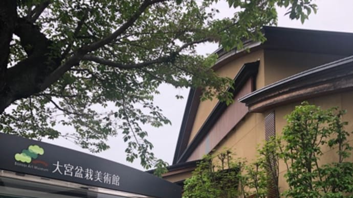 良い天気が続いた週末日曜日には