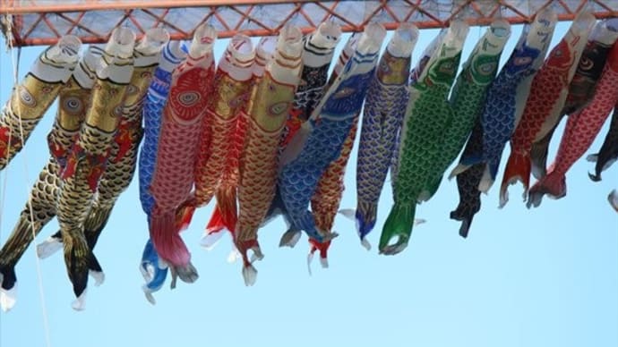 6月定休日のお知らせ&5月のいろいろ。。(個人)