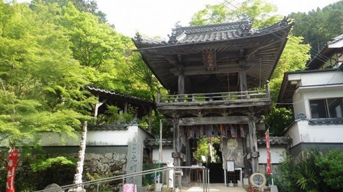 佐用町「光明寺」こいのぼり と 五月人形を見てきました