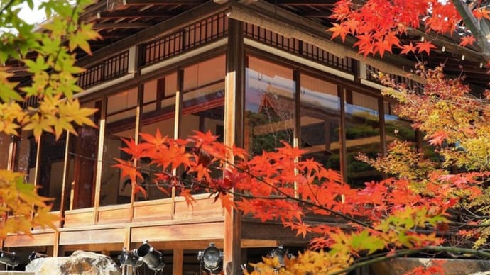 天授庵の紅葉 part1