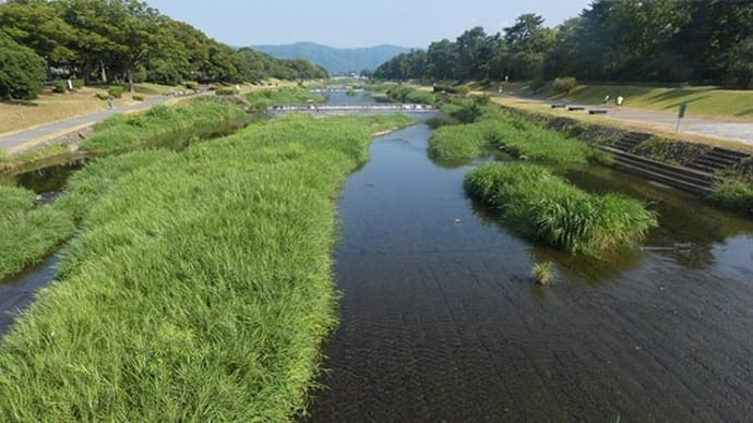 31日、京都府立植物園からの猛暑日だより