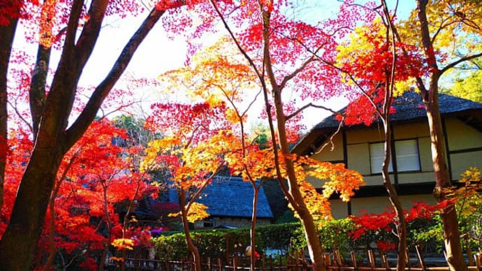 古民家と紅葉~日本民家園