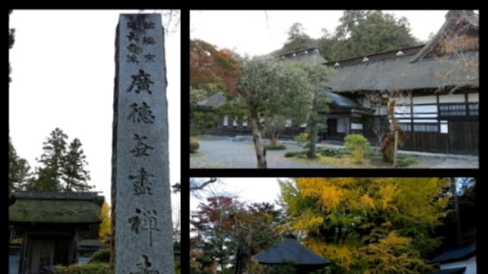 いちょうは針葉樹?