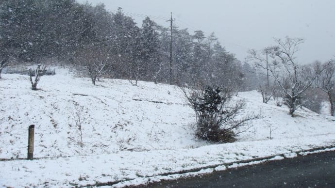 なごり雪