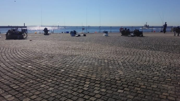 東扇島西公園釣り情報