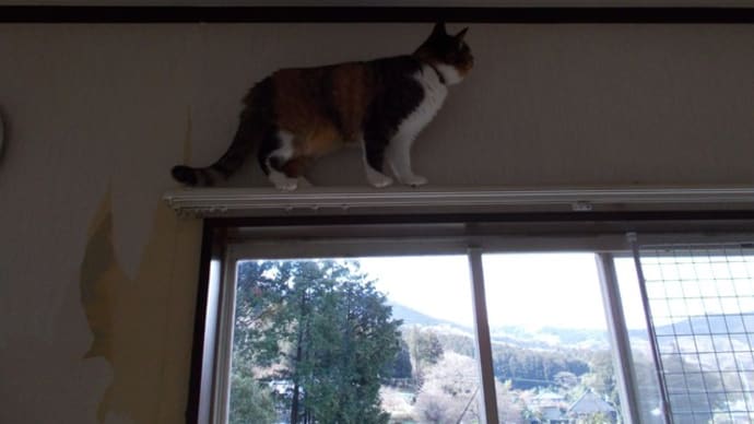よもぎと煙は…。