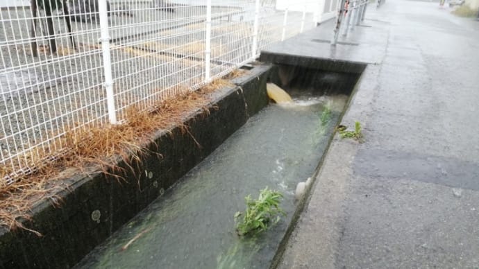 排水良好と家具選び