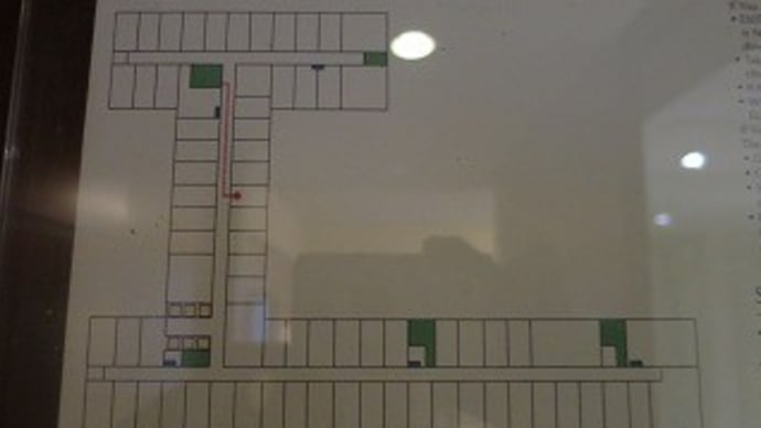 2019ANA特典航空券旅行記(香港) その3