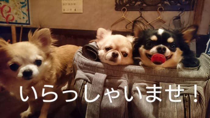 時短要請に変更か?