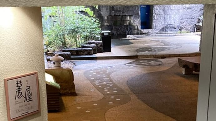雨の日、芸術で花見
