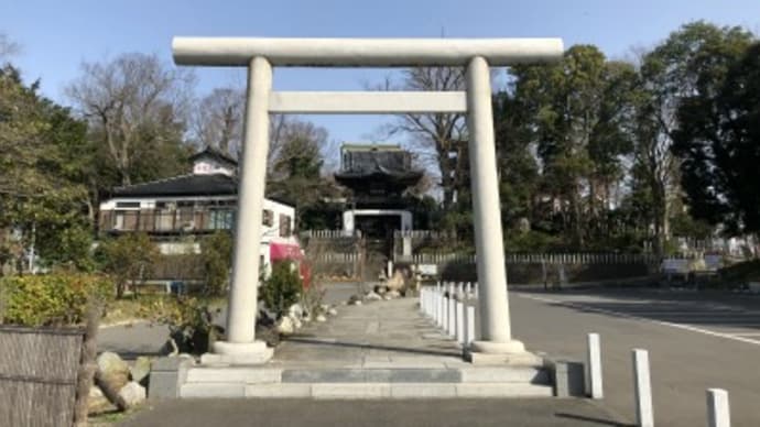 あけぼの山の桜・前編～布施弁天詣で
