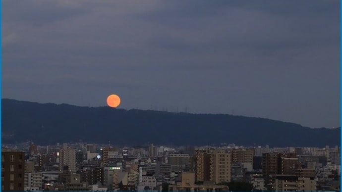 寒露