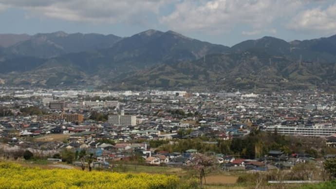樹と器と暮らしの時間___花ファイル