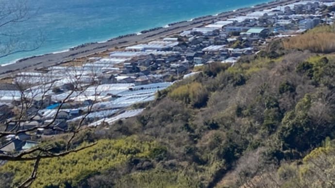 久能山東照宮 階段がデカすぎ‼️腰が‼️膝が‼️ヨレヨレ