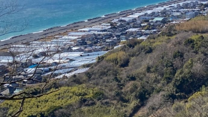 久能山東照宮　階段がデカすぎ‼️腰が‼️膝が‼️ヨレヨレ