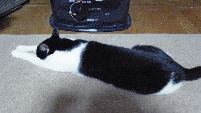 これは何...?