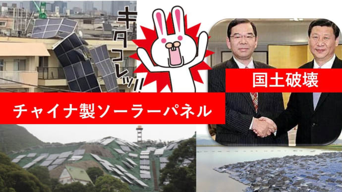 咲洲メガソーラーの責任転嫁する橋下徹です。