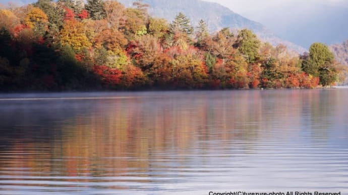 奥日光紅葉 中禅寺湖南岸・八丁出島の先まで