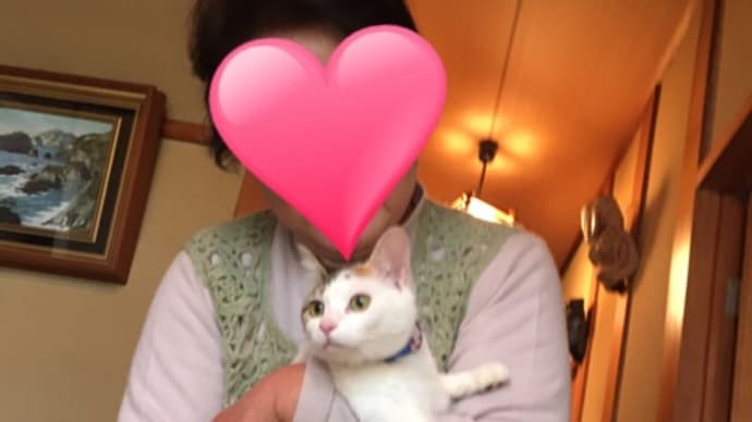 おめでとう!