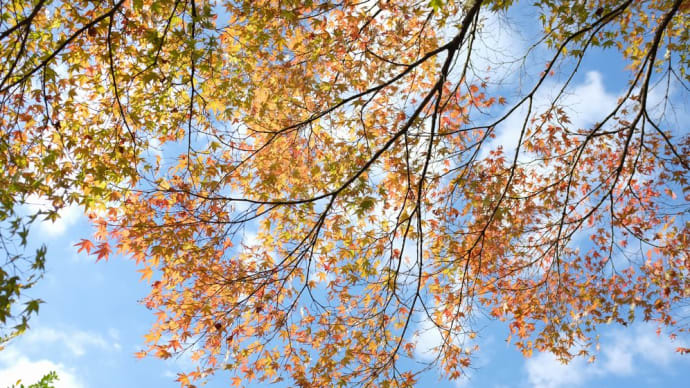 「なかった」からわかる「ある」ことの驚きとありがたさ