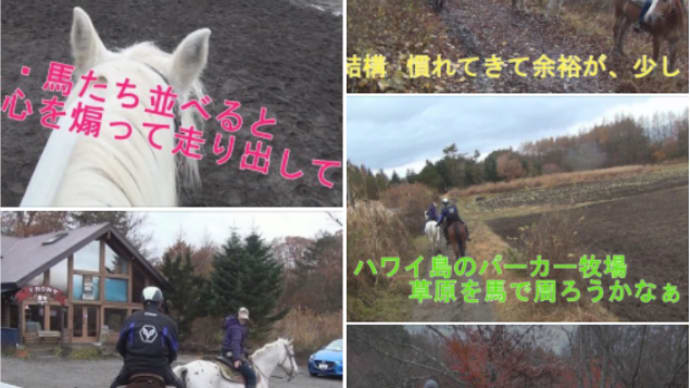 富士山麓鳴沢村で乗馬体験 西湖いやしの里 根場の蕎麦 ホーストレッキング&プチツーリング