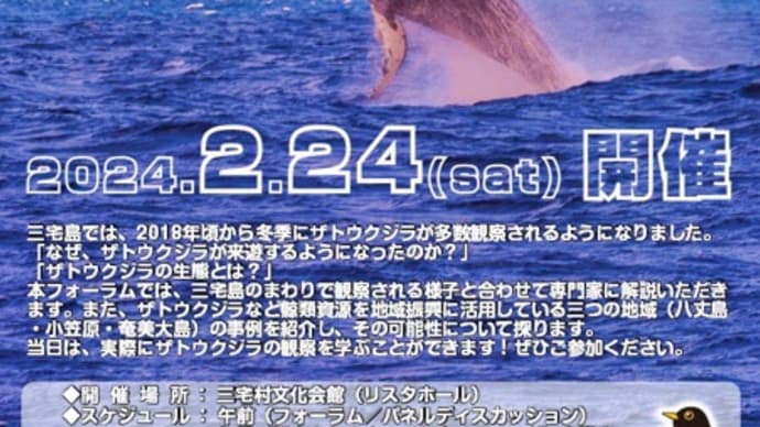 伊豆諸島でザトウクジラのフォーラム開催です！
