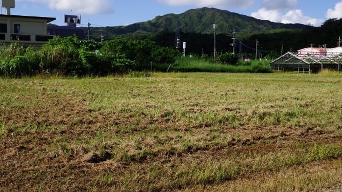 キャンプ・ハンセンー県道104号を歩く(20230920-①)