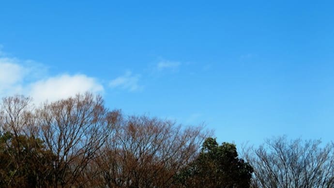 今日は、「富士山の日」でもあるのですね♪