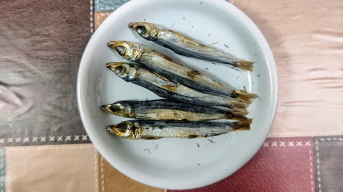 「ウルメイワシの丸干し」安くて美味いんよね!日本酒の肴にベスト!・・・中村乾物(高松)