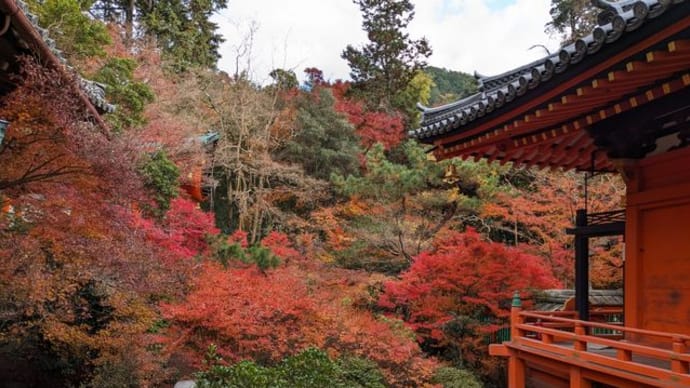 紅葉ギリセーフ! 山科・毘沙門堂(3)