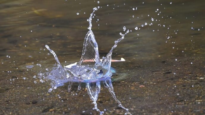 今週のカワセミ(神無月)#811