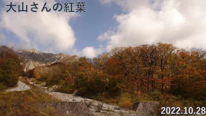 大山環状道路の紅葉 10月28日