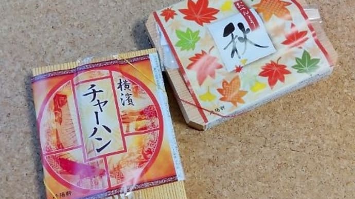 崎陽軒のお弁当