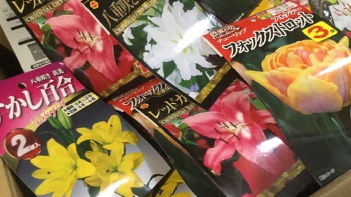 四国・高松木太町にある高級寿司【#とし】のおばちゃまも、毎年好きな百合を購入❣️そして