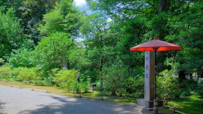 sakeの歩窓から（夏の六義園）