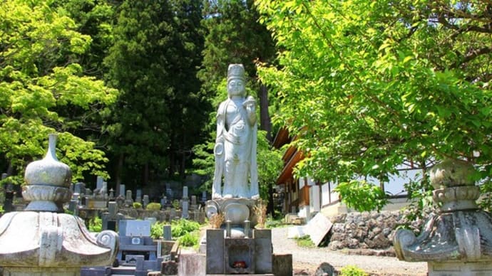 信州・松代　ツツジで有名なお寺さんを………！