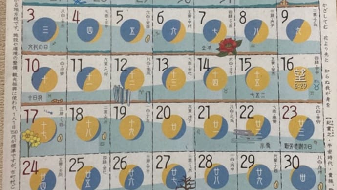 ◉11月の出没予定です 2024◉