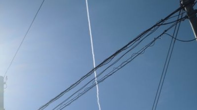 人参の泥も雨に洗わせる～笑