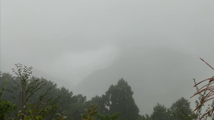 玉置神社へ