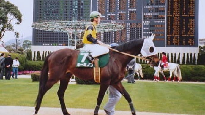 1990年のアリア 歌うキー馬