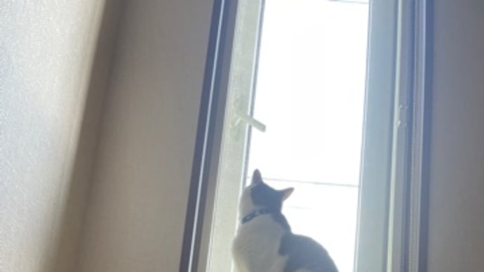 待っております