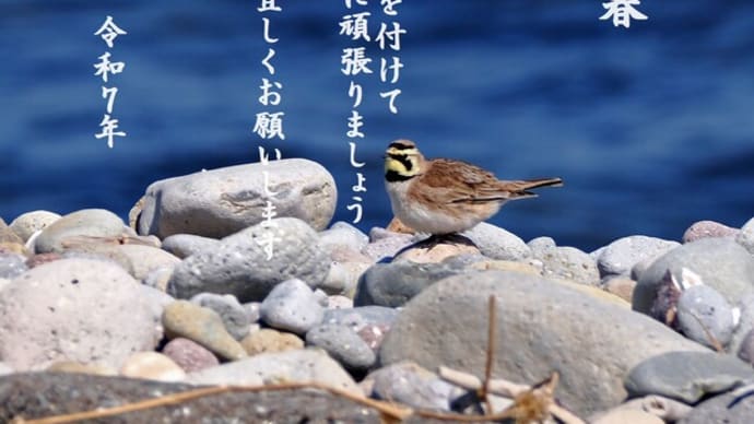 新年明けましておめでとうございます