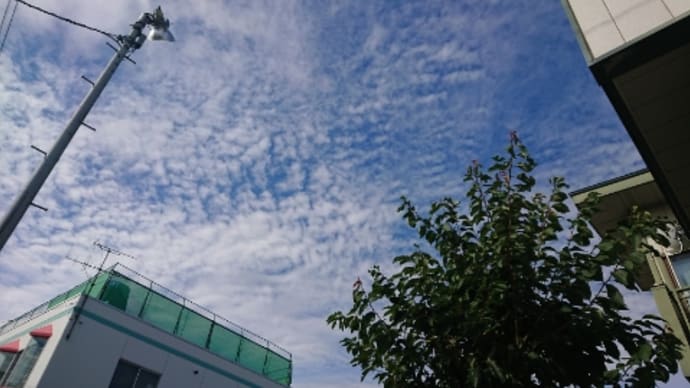 札幌市教育会から学校経由連絡