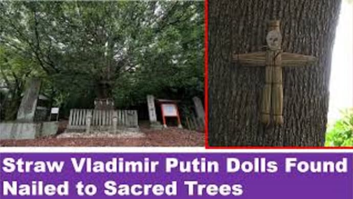 Straw Vladimir Putin Dolls Found Nailed to Sacred Trees in Japan.