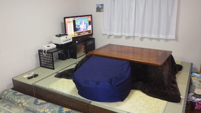 人をダメにするヤツを購入