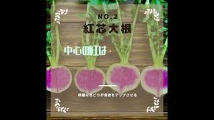 大根をもっと知りたくなる編/365日野菜シリーズ