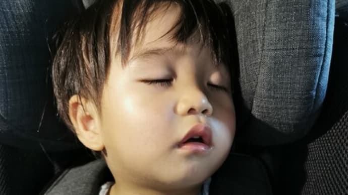 『弟の家にお見舞いに行った帰りに眠りこけ···』