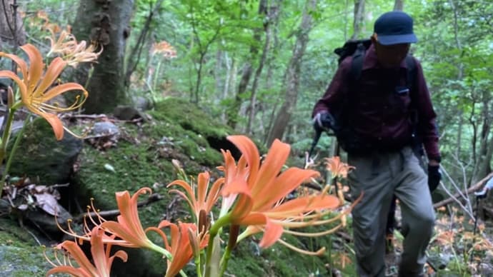 偶然にも旧友が前日に歩いた山道を辿る【前編】